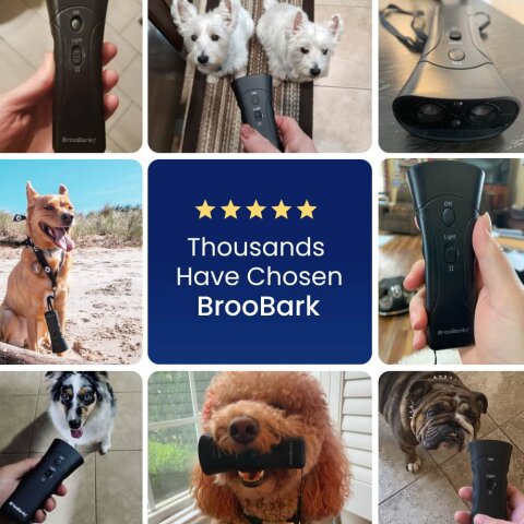 PetGentle Dog Trainer image