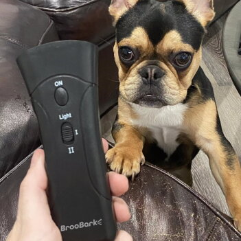 PetGentle Dog Trainer image