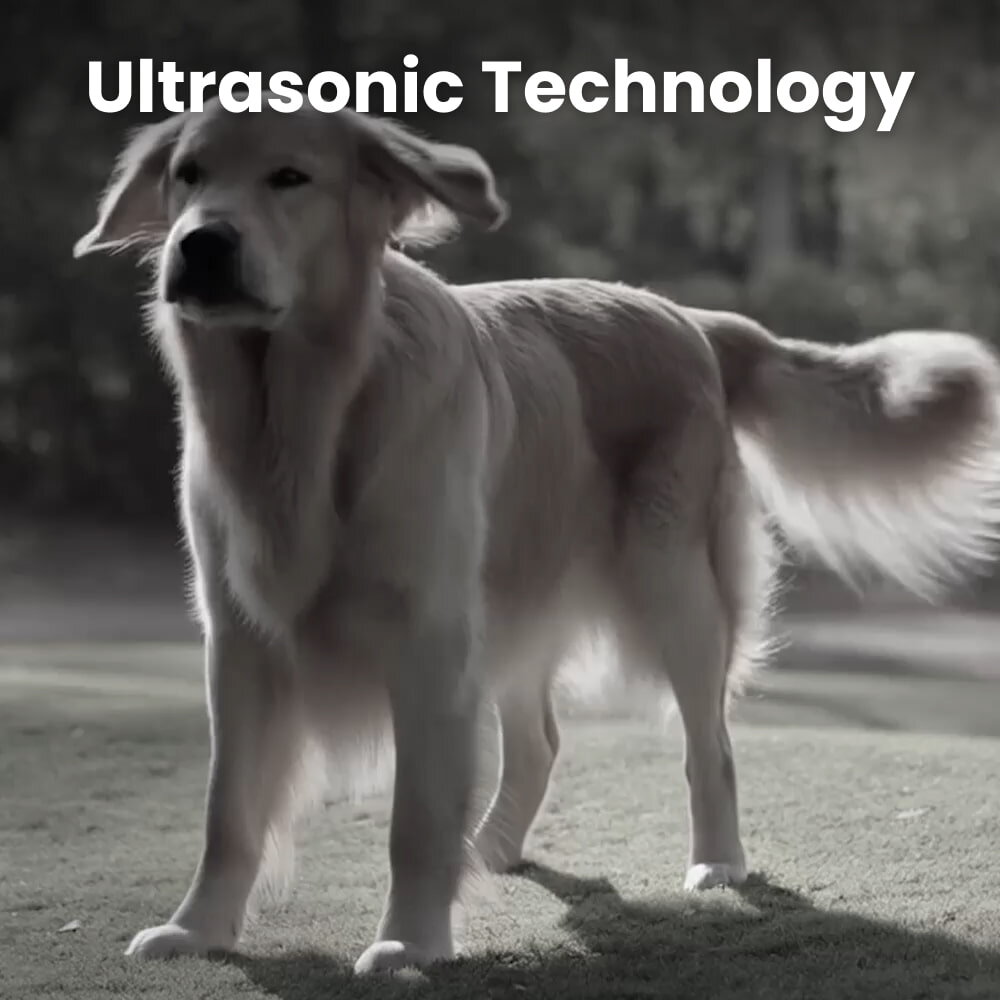 PetGentle Dog Trainer image