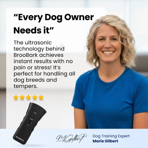 PetGentle Dog Trainer image